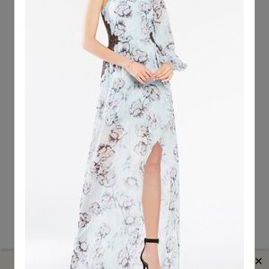 BCBG Max Azria Sandy One-shoulder Floral Gown